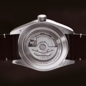 tudor-m79010sg-0001 (1)